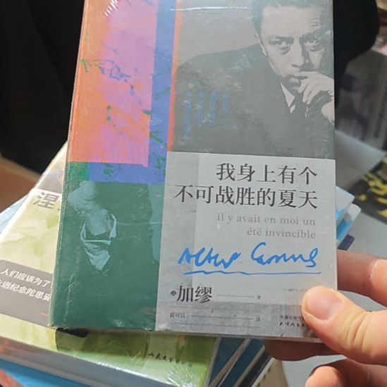 我身上有个不可战胜的夏天，家庙小。