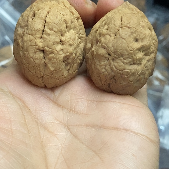 把件文玩核桃云南铁核桃基地25