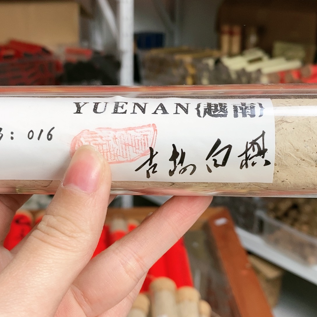 【闪购商品】66666666666666666666