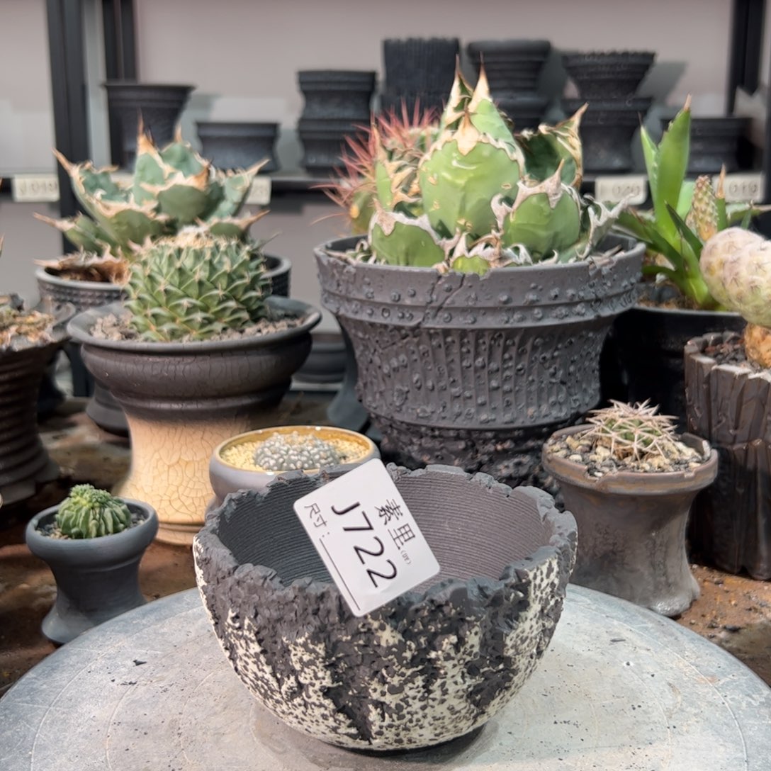 景德镇手工素里内口12高7.5