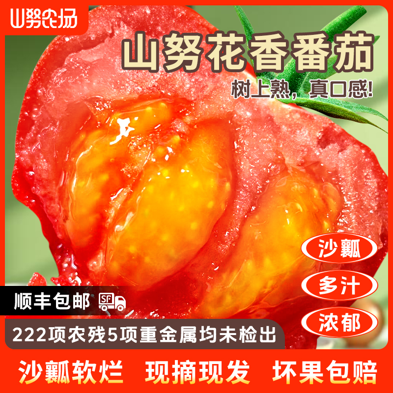 【顺丰】山努花香番茄沙瓤大口感水果西红柿皮薄软糯新鲜生吃柿子