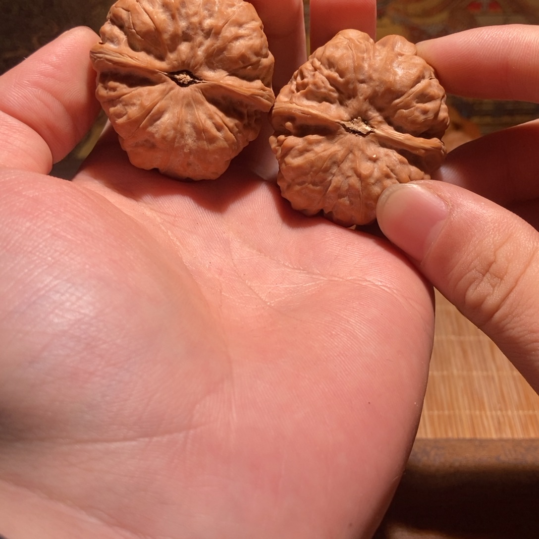 A***a大叶紫檀（黑酸枝木类）蛤蟆头D21