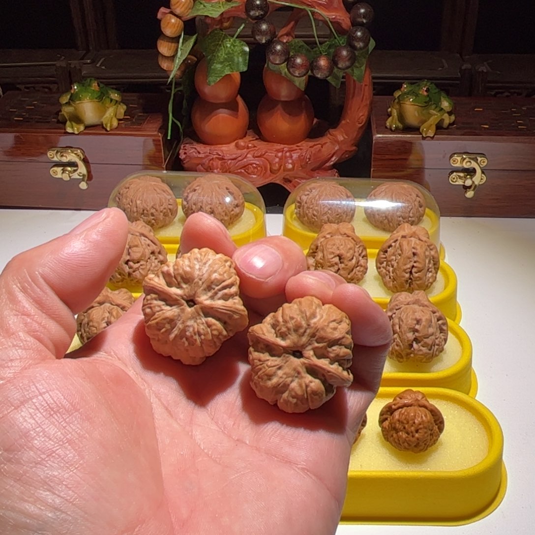 9***7文玩核桃把件昌平娃直播中欢迎观看