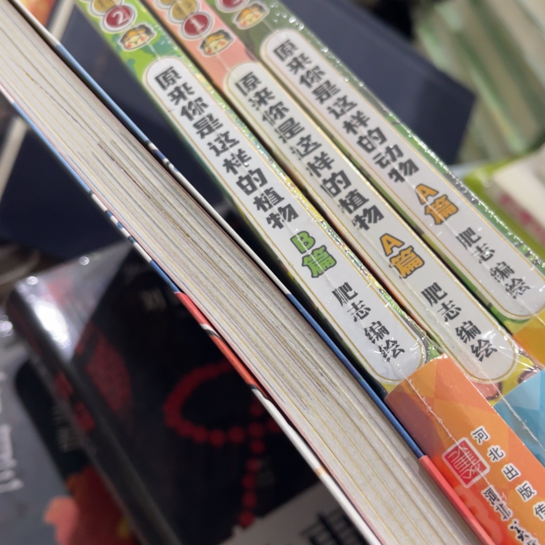 球***迷肥汁百科四本一套