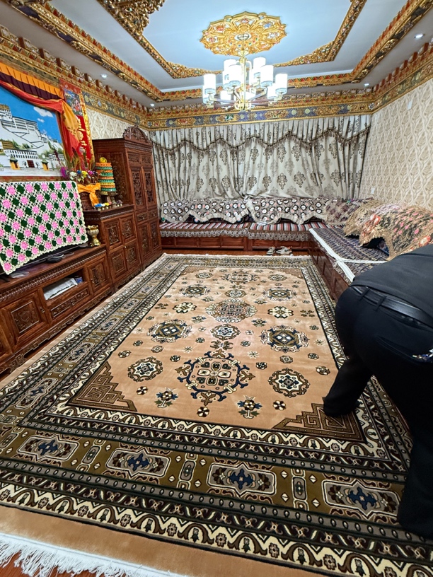 伊朗超柔超密剪花卧室客厅复古中式床边毯地毯民族风大面积家用