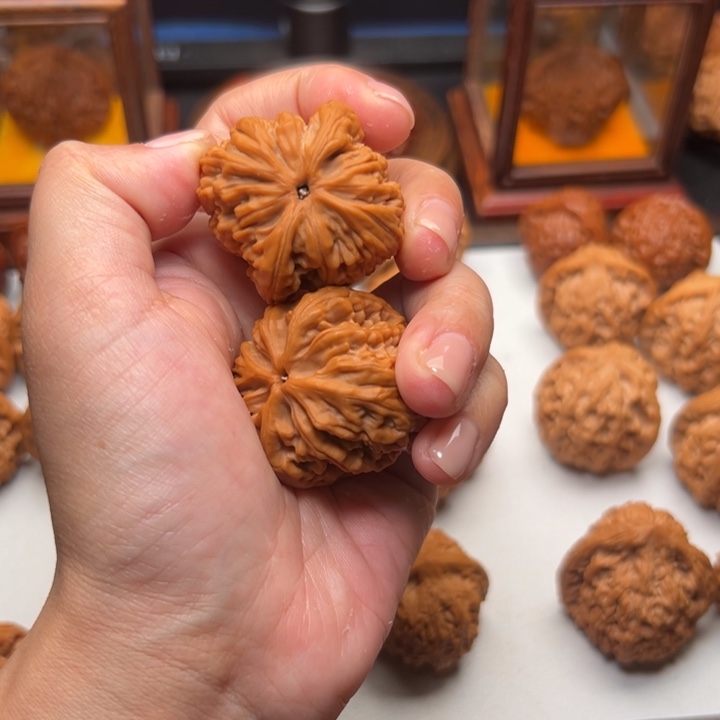 桃核把件爱****龙好好好好好