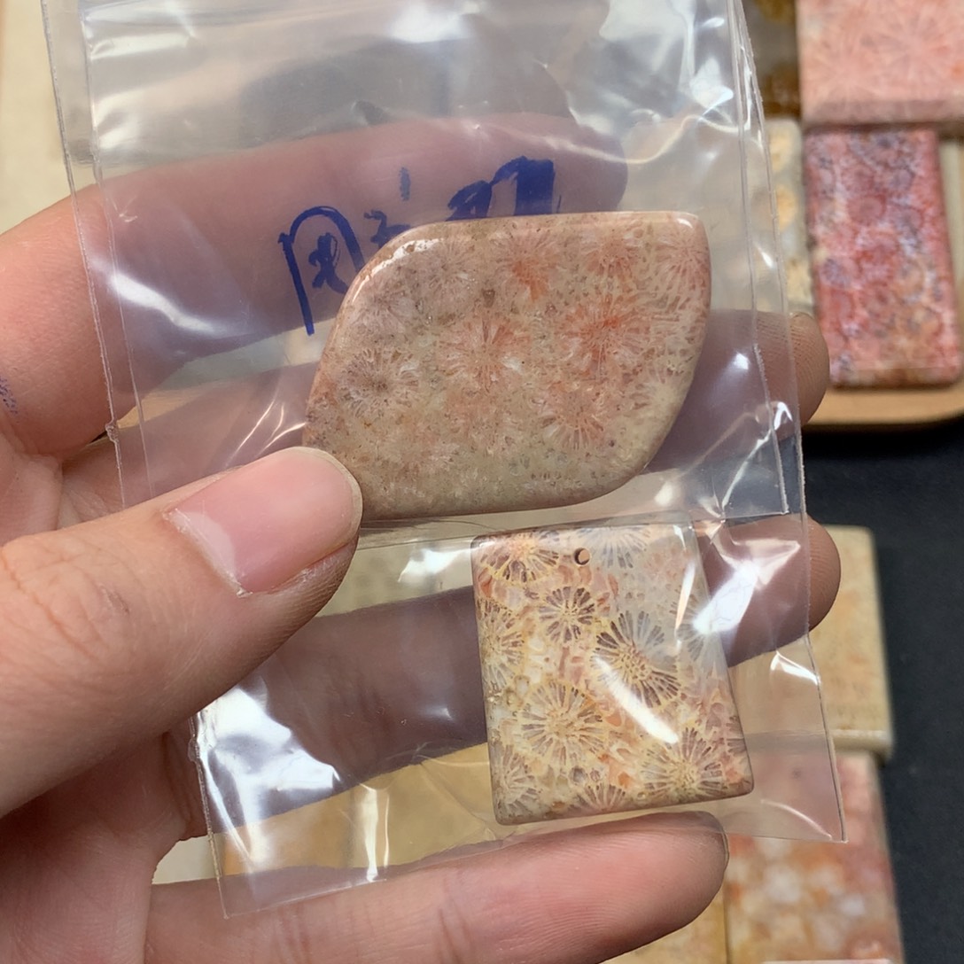 用***0硅化珊瑚（珊瑚玉）未镶嵌颈饰