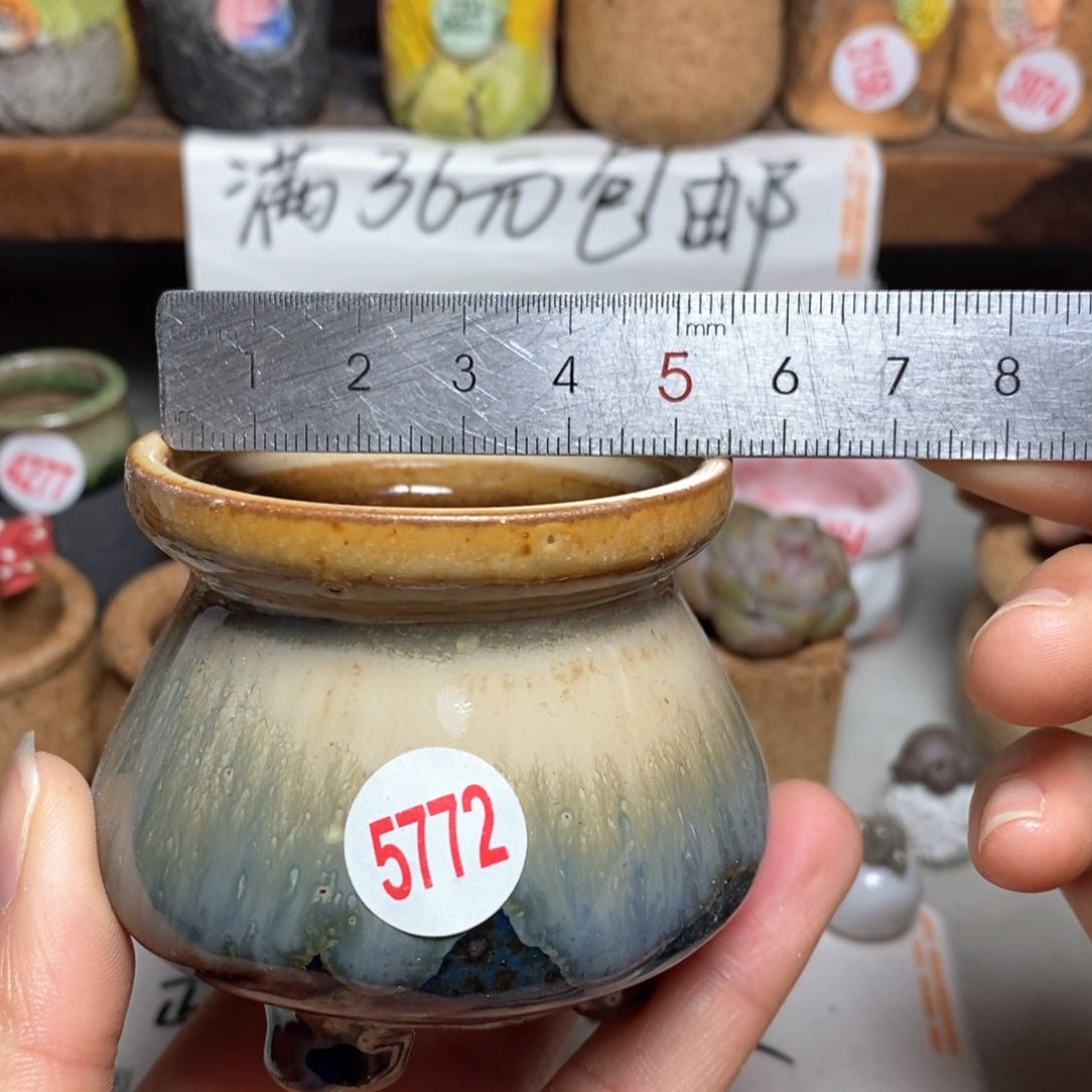 红陶拍5送一个小