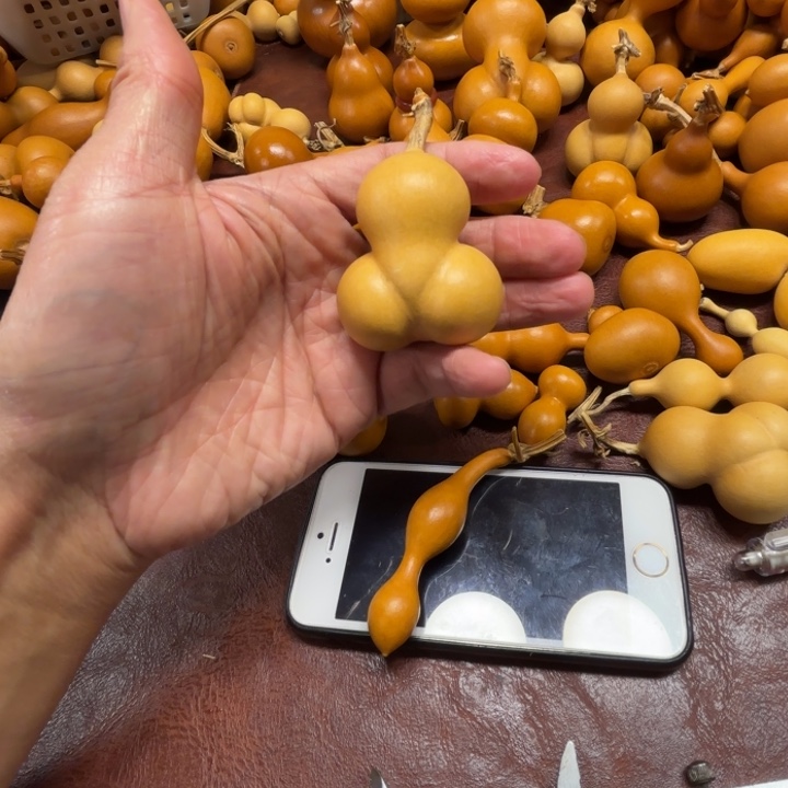 肥****门肥嘟嘟的一把金蟾葫芦