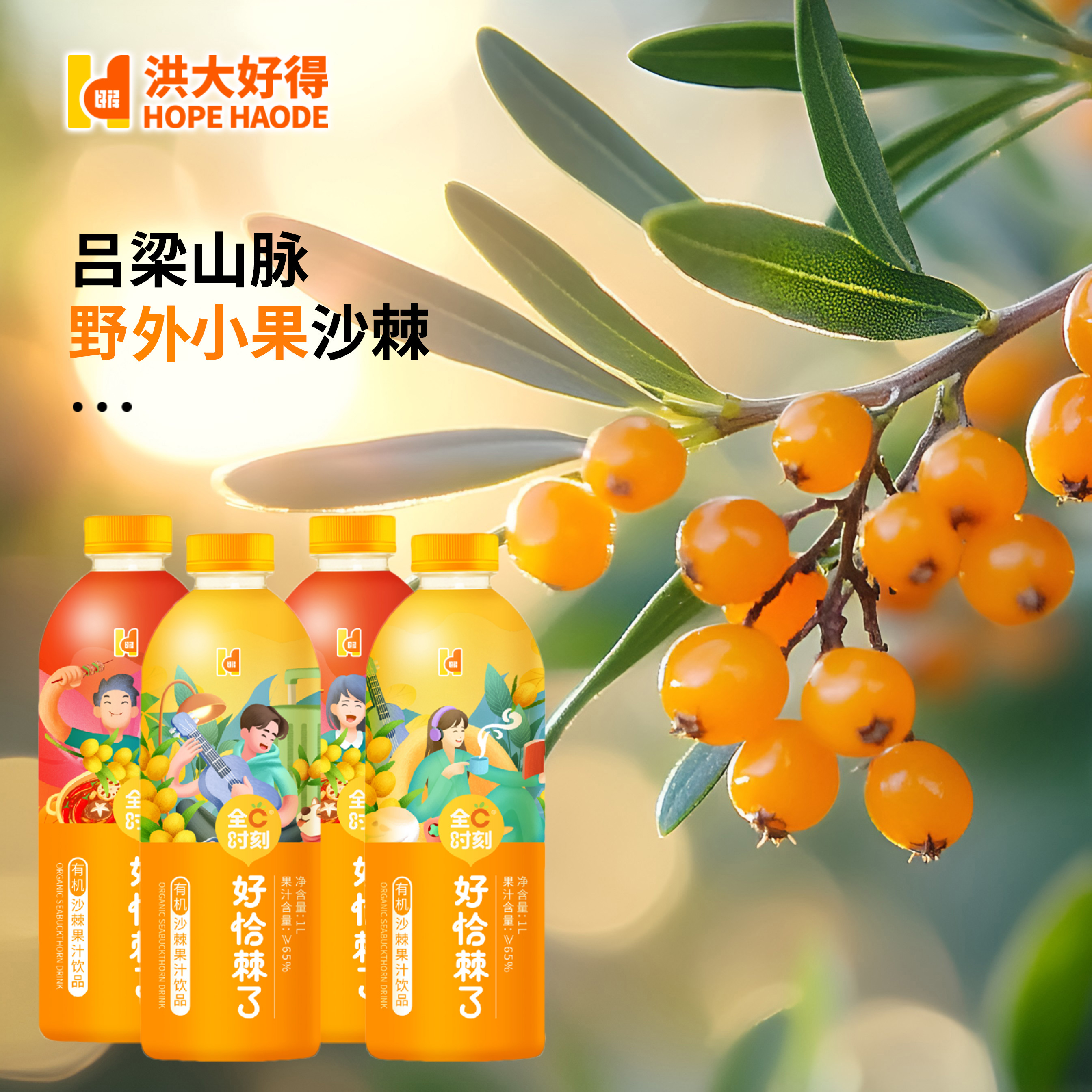 【洪大好得】尝鲜 沙棘汁果汁饮料饮品300ml/送酸枣汁瓶随享健康饮