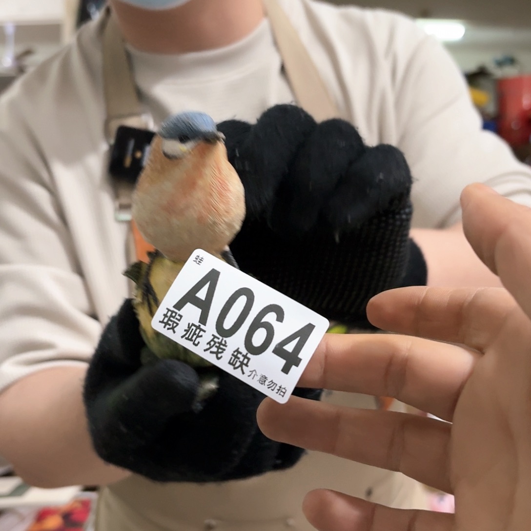 核桃木/黑胡桃（胡桃木）