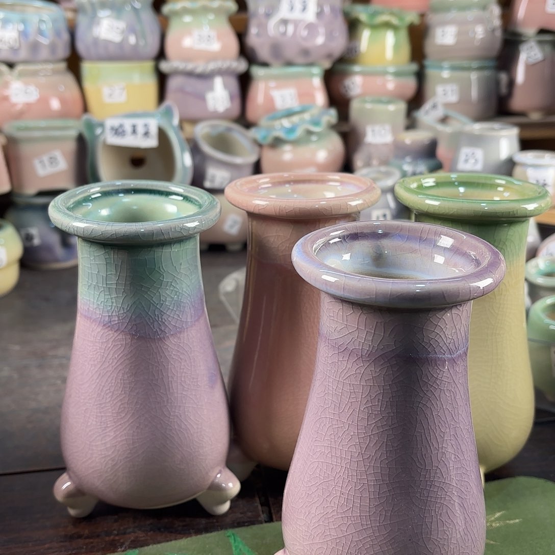 量货/口6高14深浅搭配发2