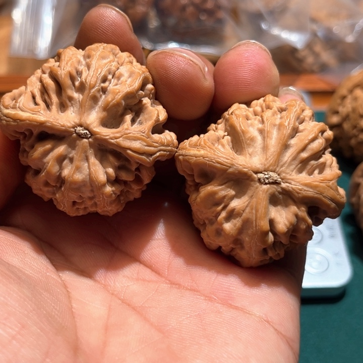 一***—文玩核桃把件红锦鲤