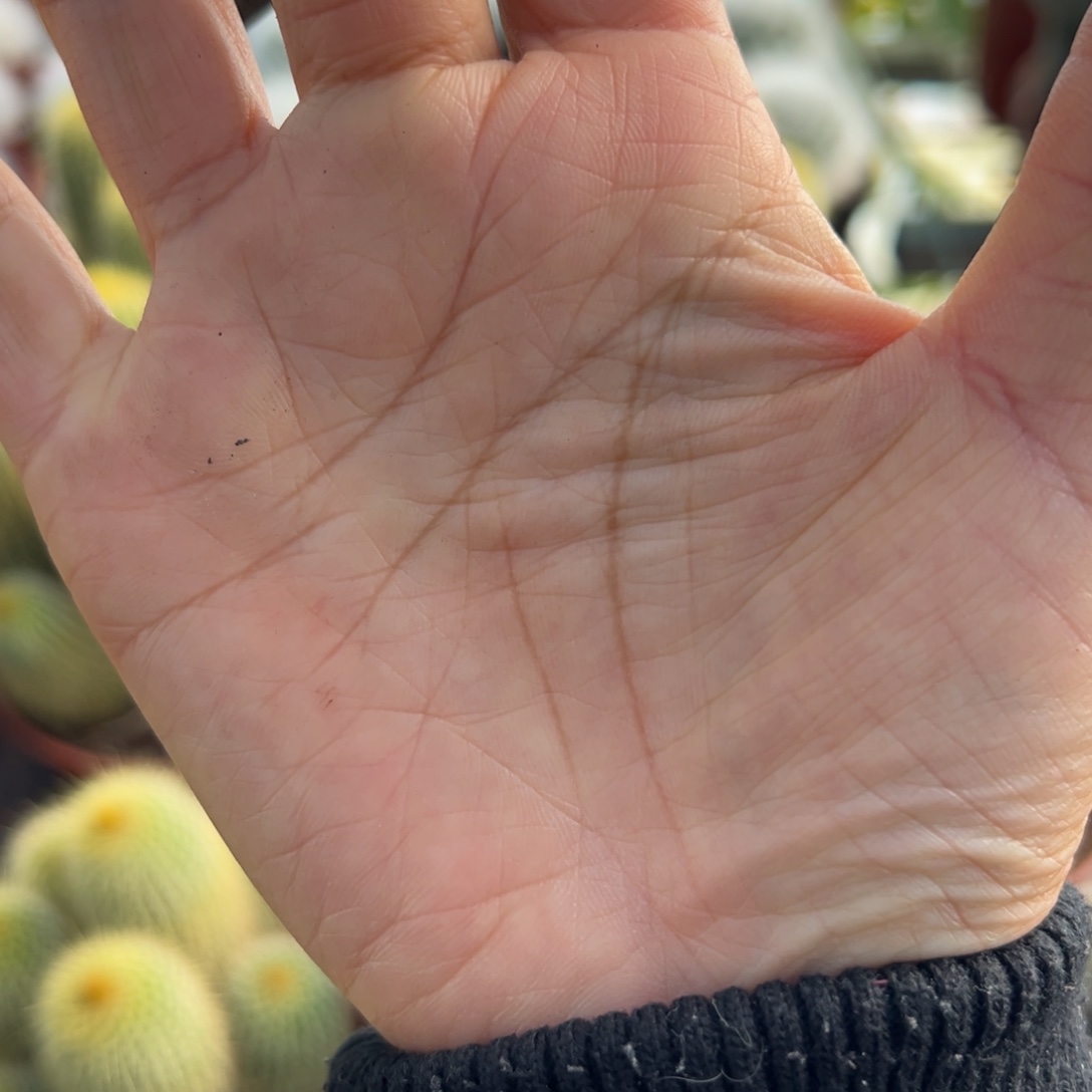 爆***巫余额114 零零落落 零零落落