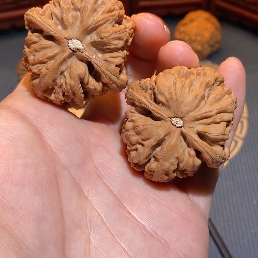 44尺 全品白茬 粗筋