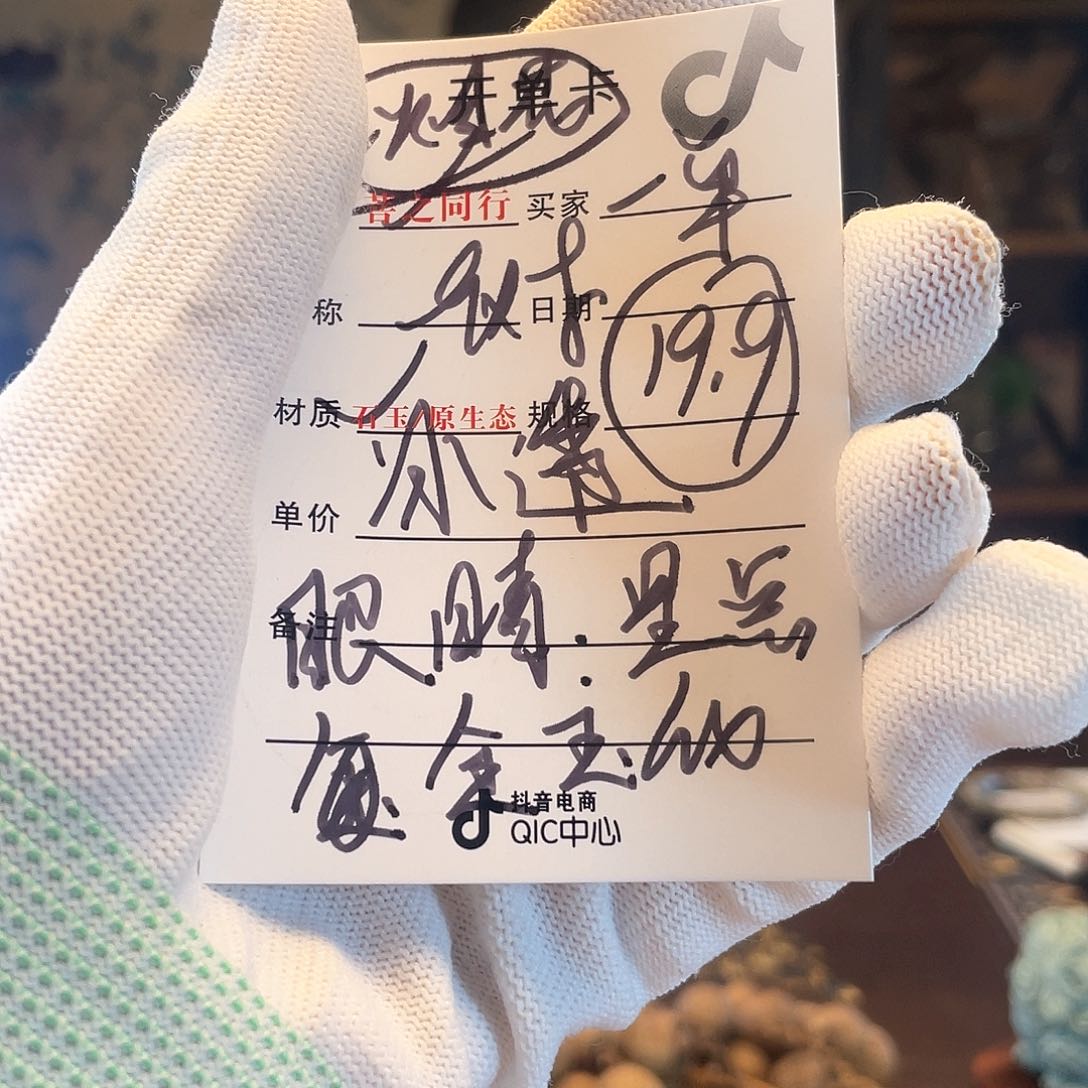 星月菩提吊坠星月25585