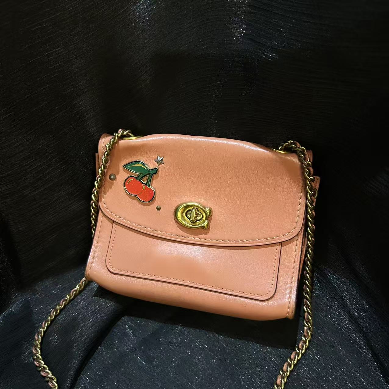 95新 COACH/蔻驰 乱乱子中古/女士/单肩包/101710