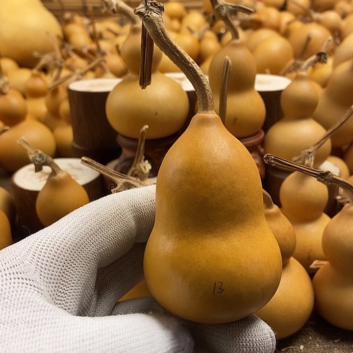 文玩葫芦 完美主义者 慎拍13