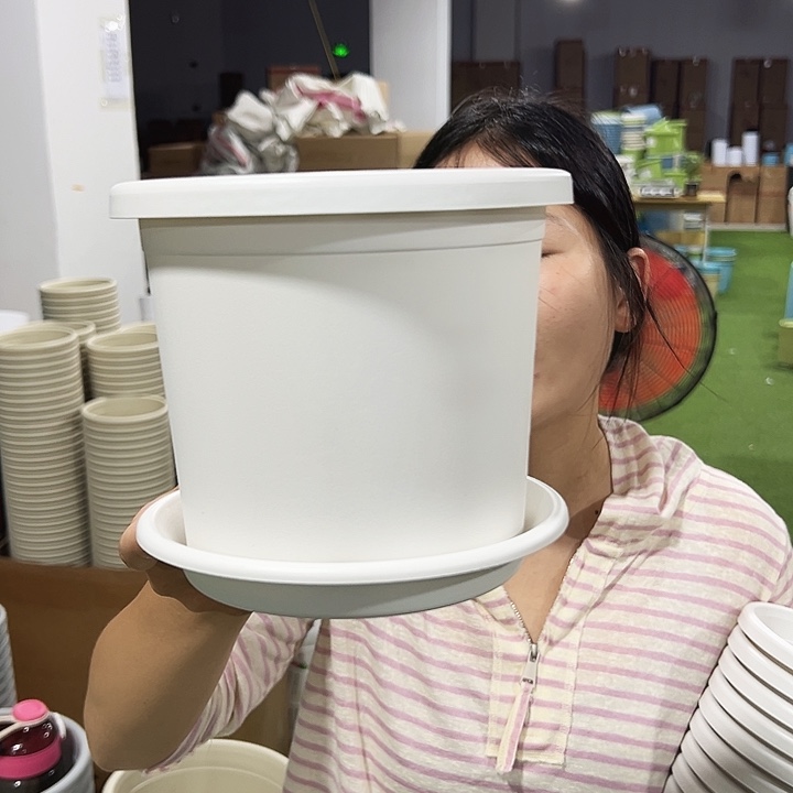 特价2号四季口17高15白色10只带托