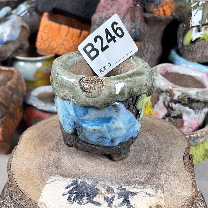 紫砂花盆开播福利 陶瓷花盆