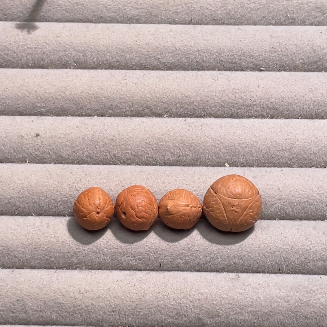 吊坠凤眼菩提补发➕龙眼