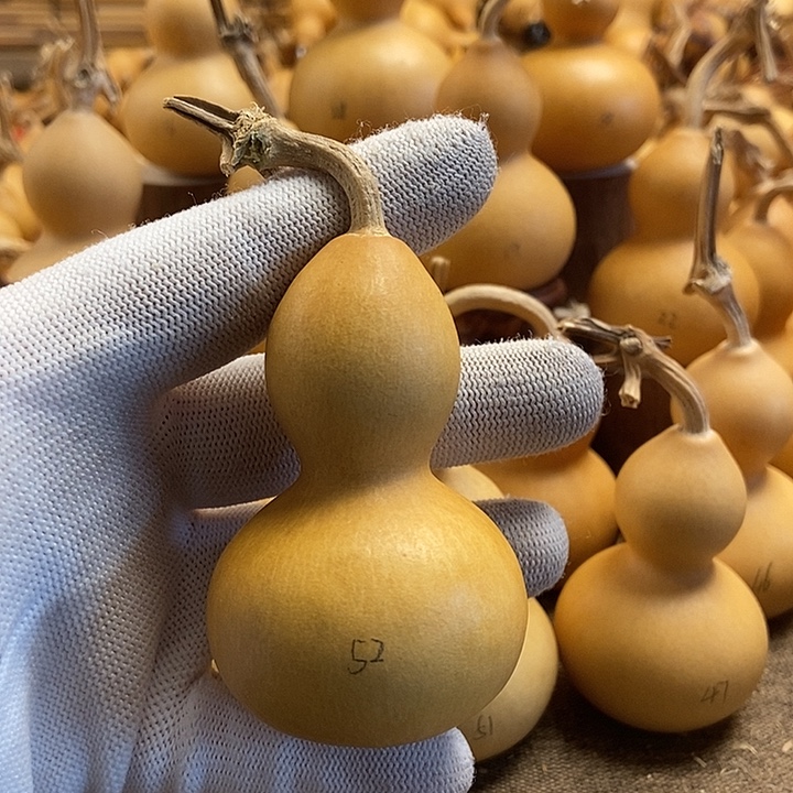 文玩葫芦 完美主义者 慎拍52