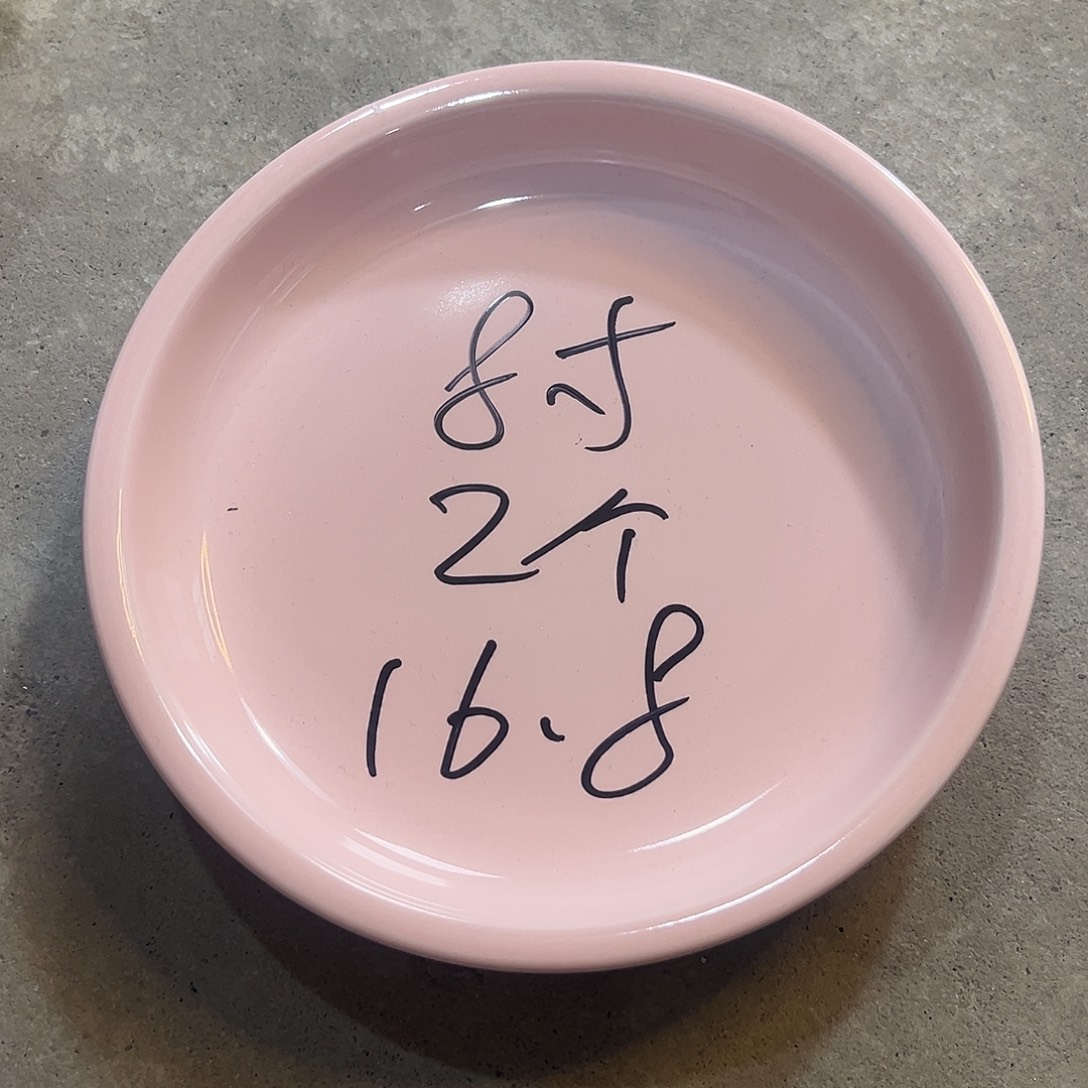 米其林8寸粉盘2个