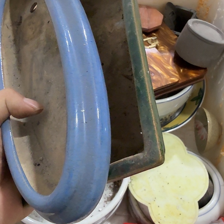 小***建扇子吃共和国个恍恍惚惚好宝贝