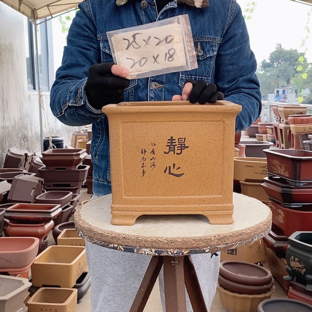 花盆紫砂紫砂花盆