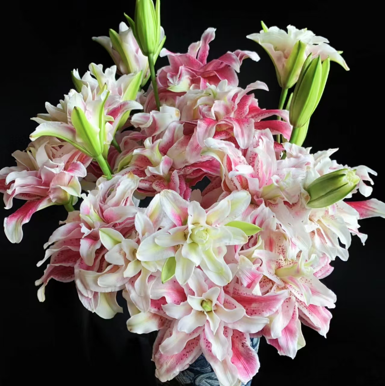 3枝迪奥三头百合9个花苞 (两单发顺丰或京东快递)