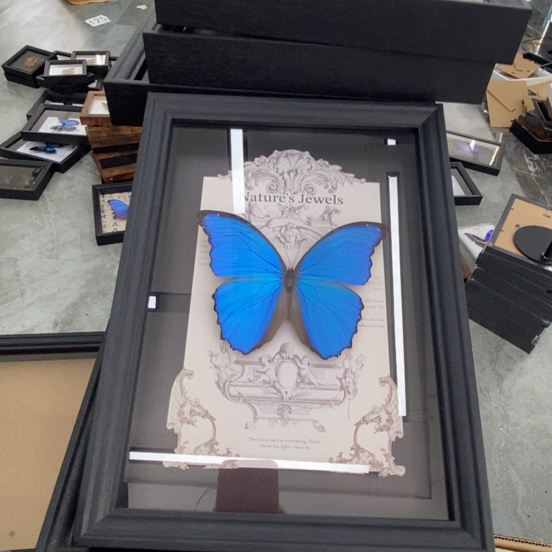 铝合金双层款蝴蝶相框