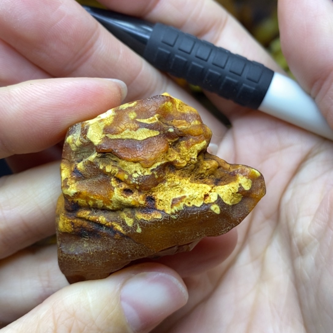 未镶嵌定制蜜蜡R***n胖