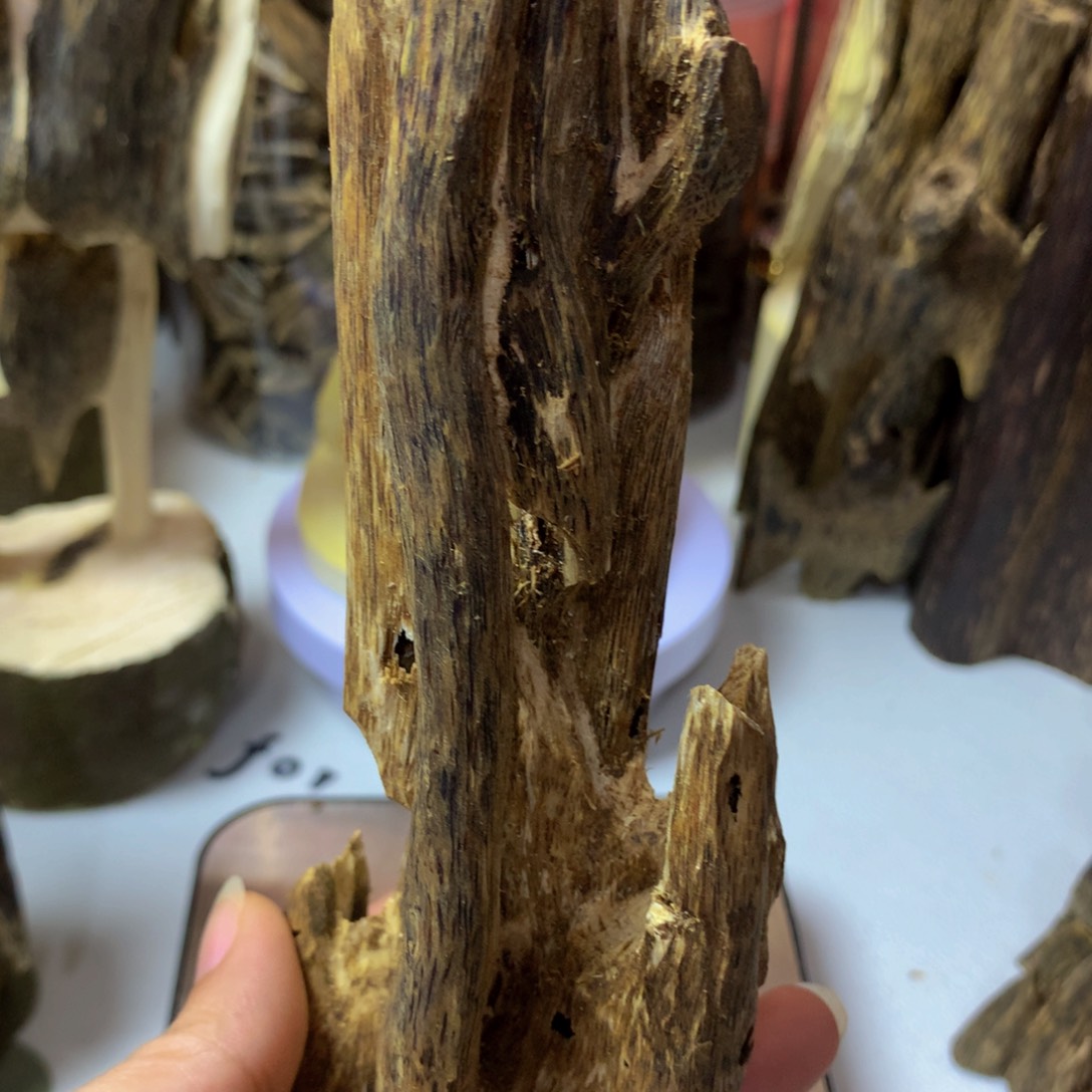 沉香沉香碎屑金沙叶虫漏66克