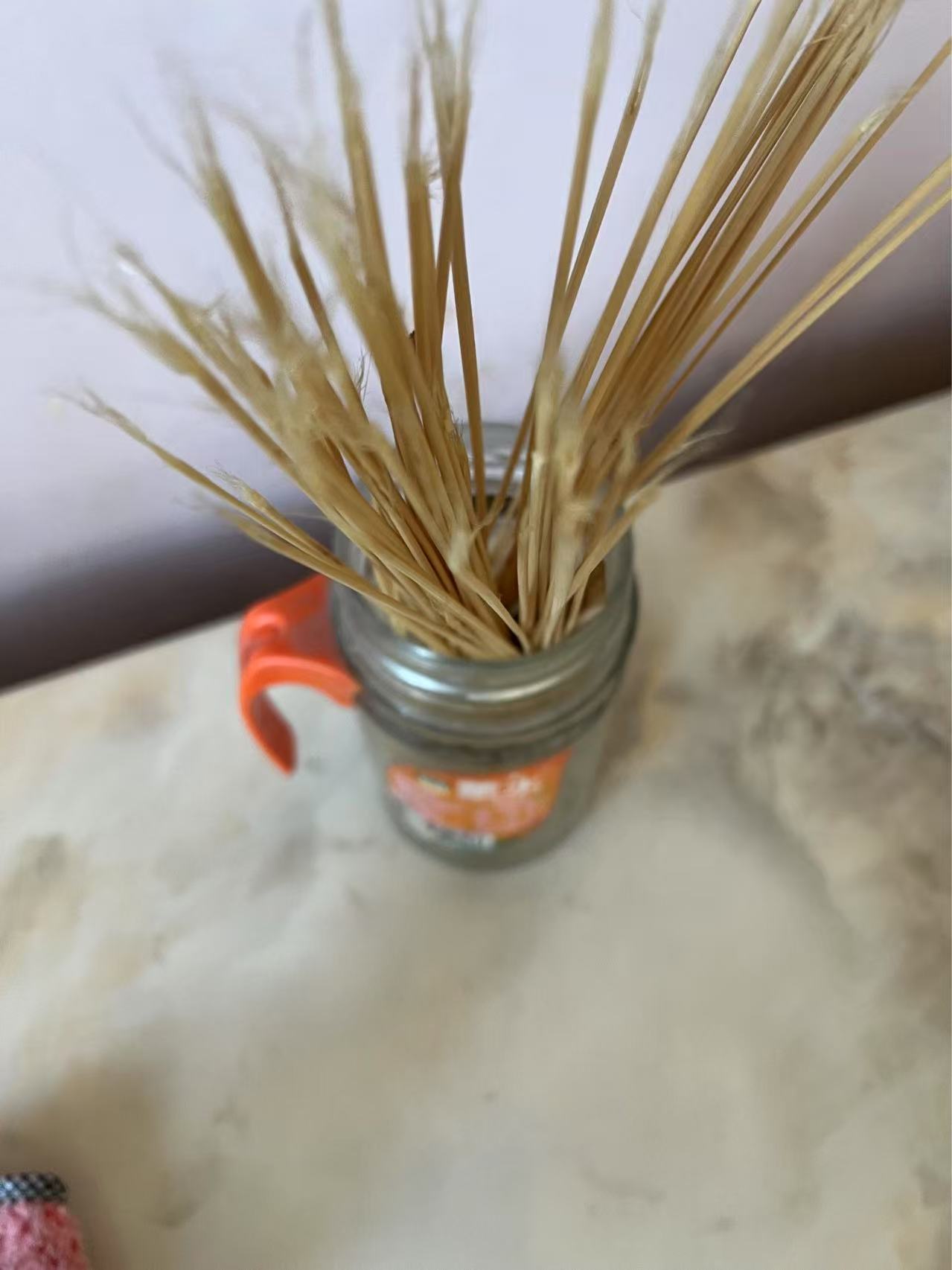 专业野生秋虫蛐蛐草