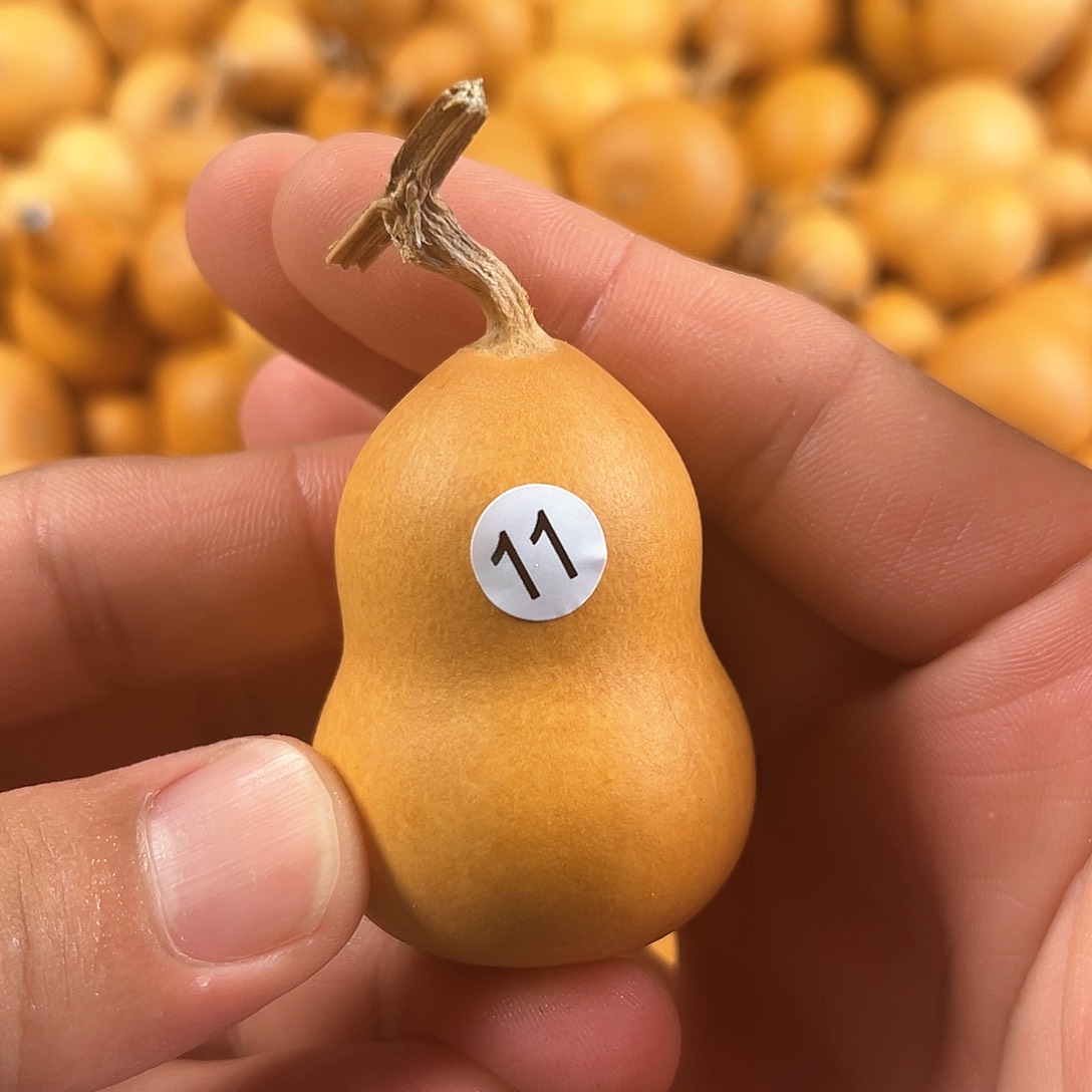 二葫芦葫芦葫芦葫芦11