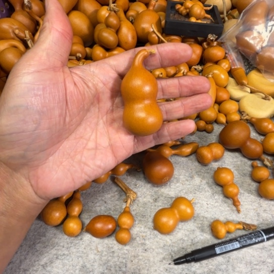 跳***p跳跳跳了一把八宝葫芦