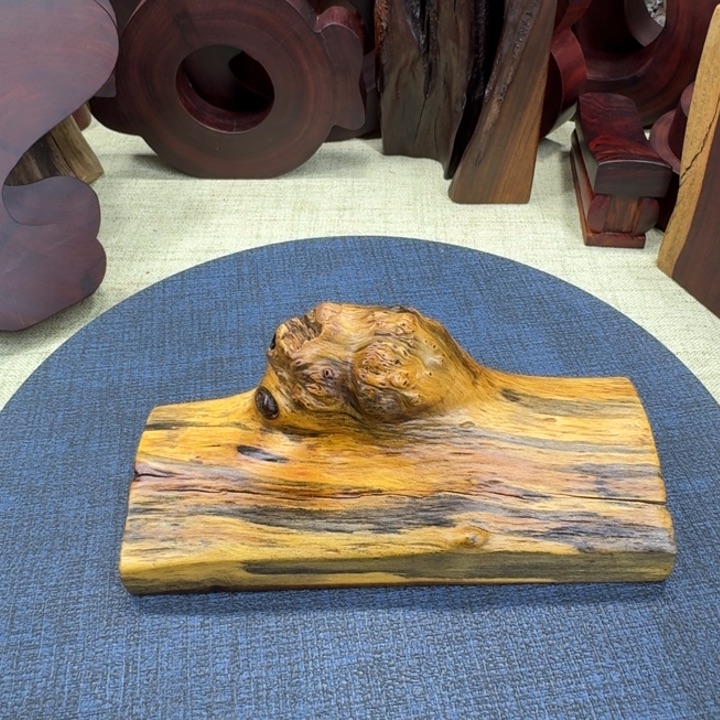 小****大果紫檀（缅甸花梨）