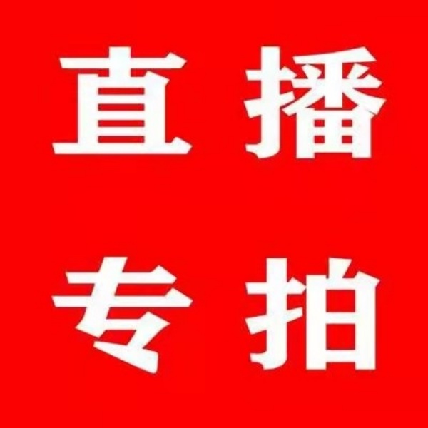 【一物一拍】冬红果小苹果贵人果海棠盆景树苗