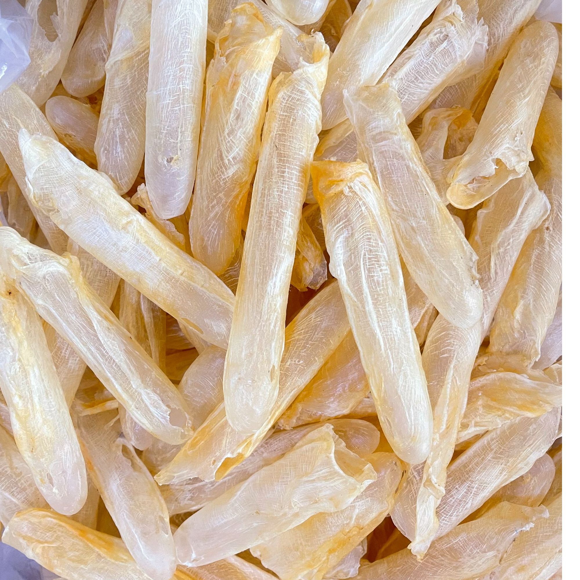 90头左右深海黄花筒 渔民手工自晒 煲汤 炖奶烹日常滋补胶原满满 