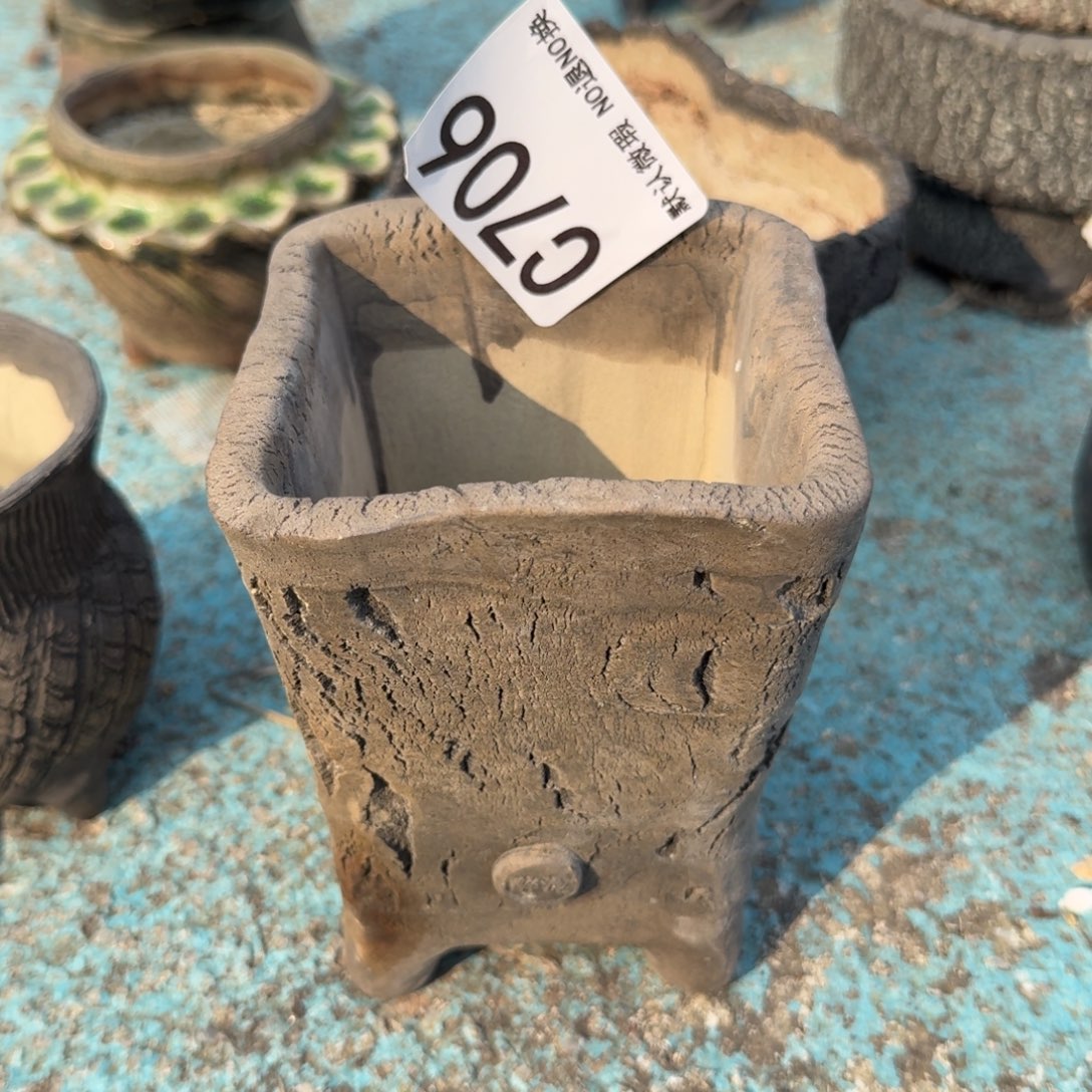 重庆小燕子欢迎大家706