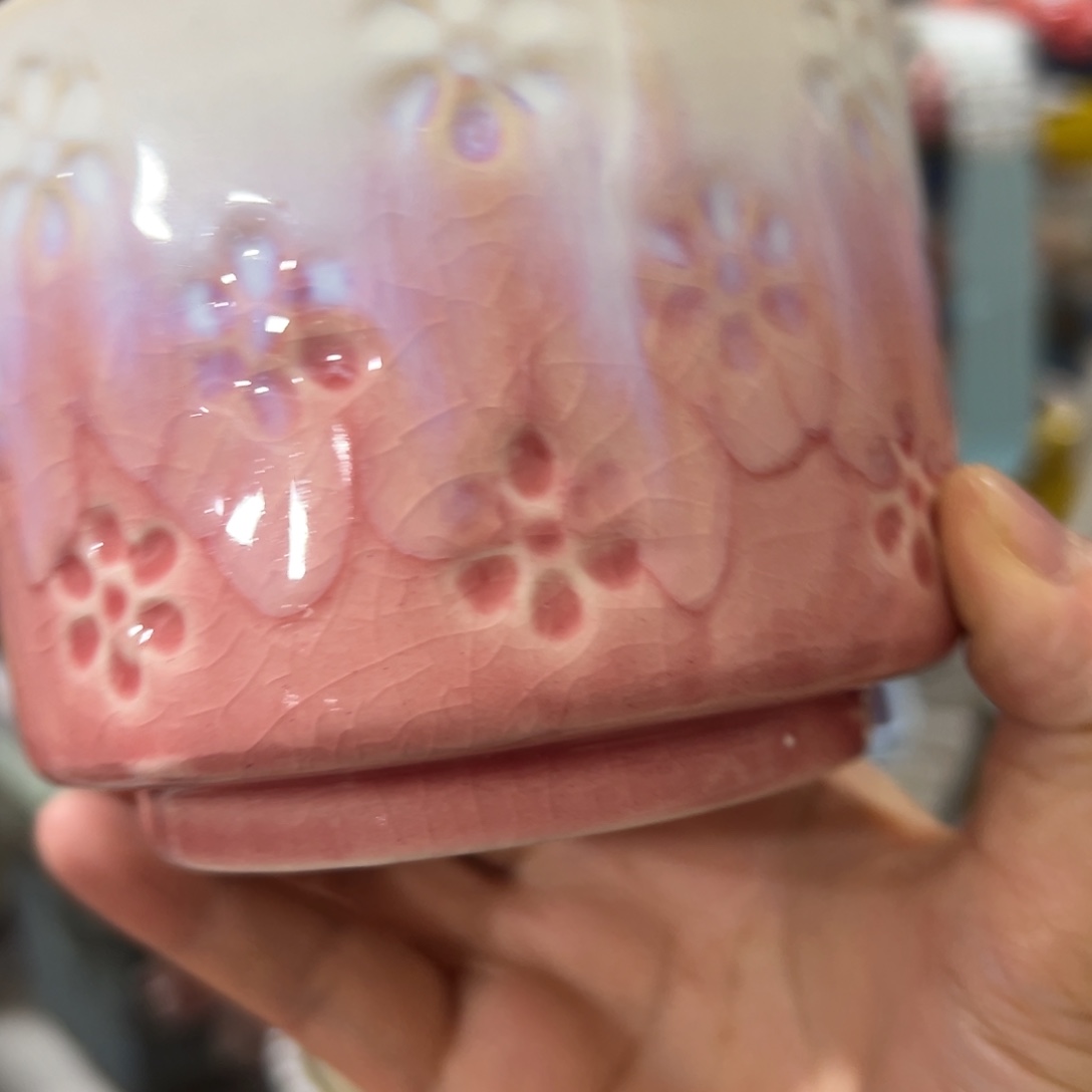 花盆，拍满20发货，退款拉黑