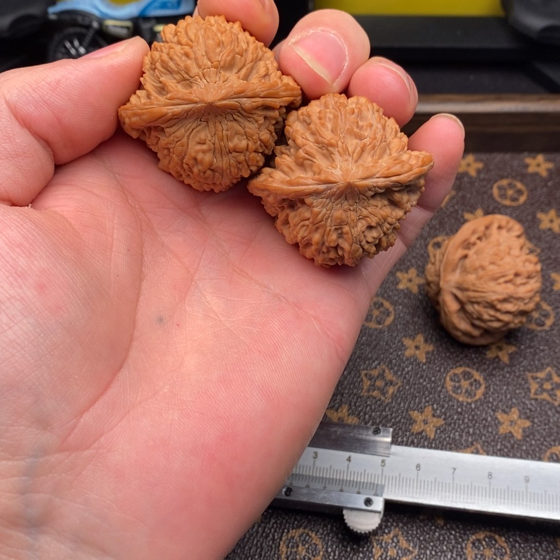 43全品满天星狮子头