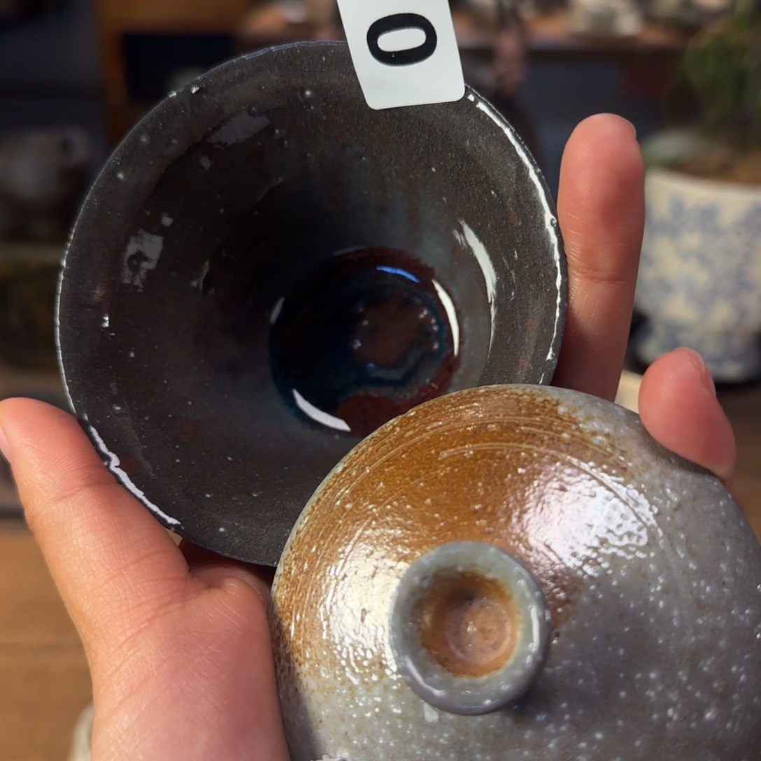 大家晚上好啦啦啦