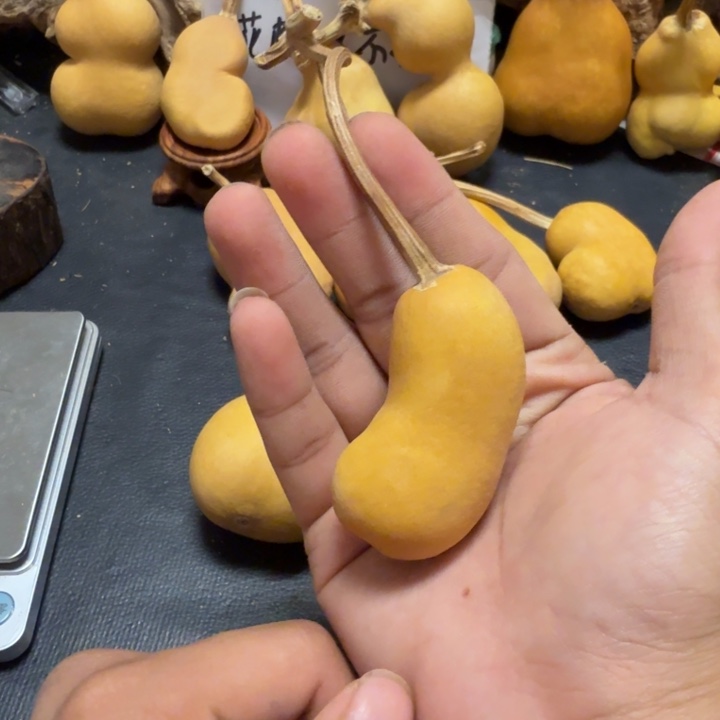 一***布7888……………………………………