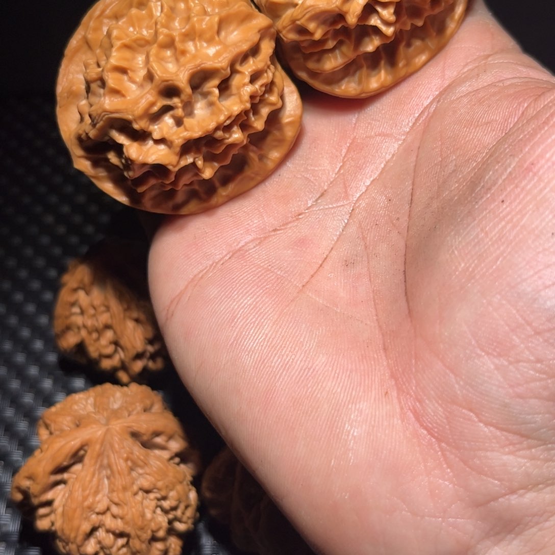 文玩核桃把件晨32号 帝王44