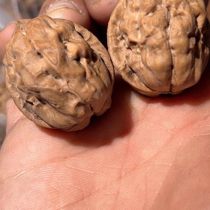 文玩核桃吊坠滇西铁核桃21