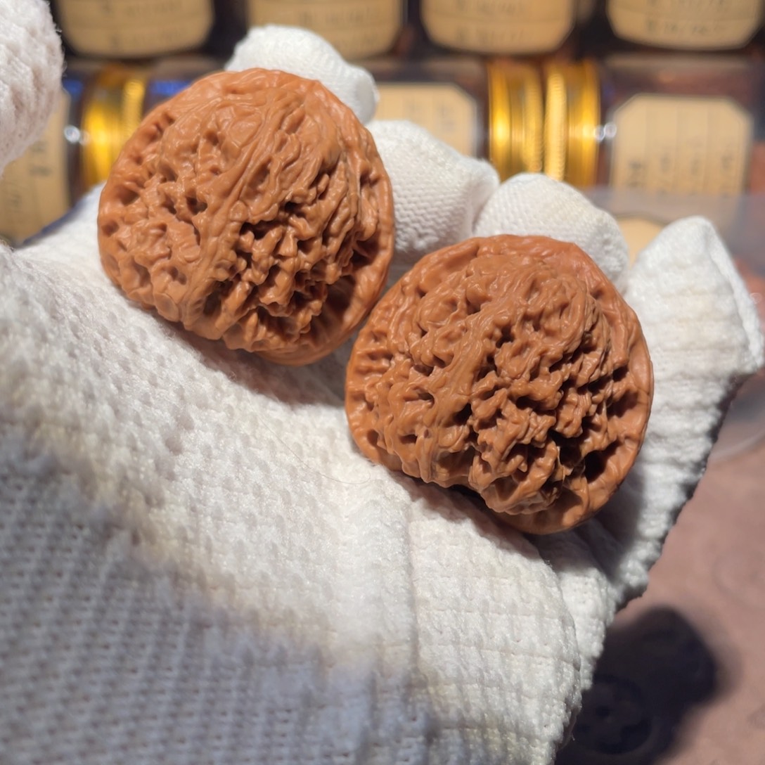 核桃40拉丝南疆jjjj