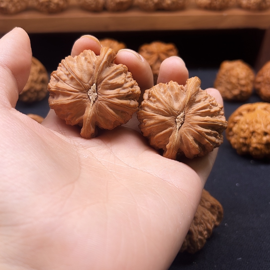 林***星核桃把件红皮白狮子43全品