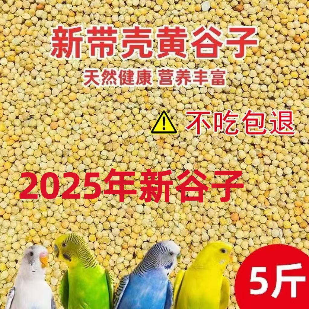 鹦鹉专用鸟粮黄谷子5斤装