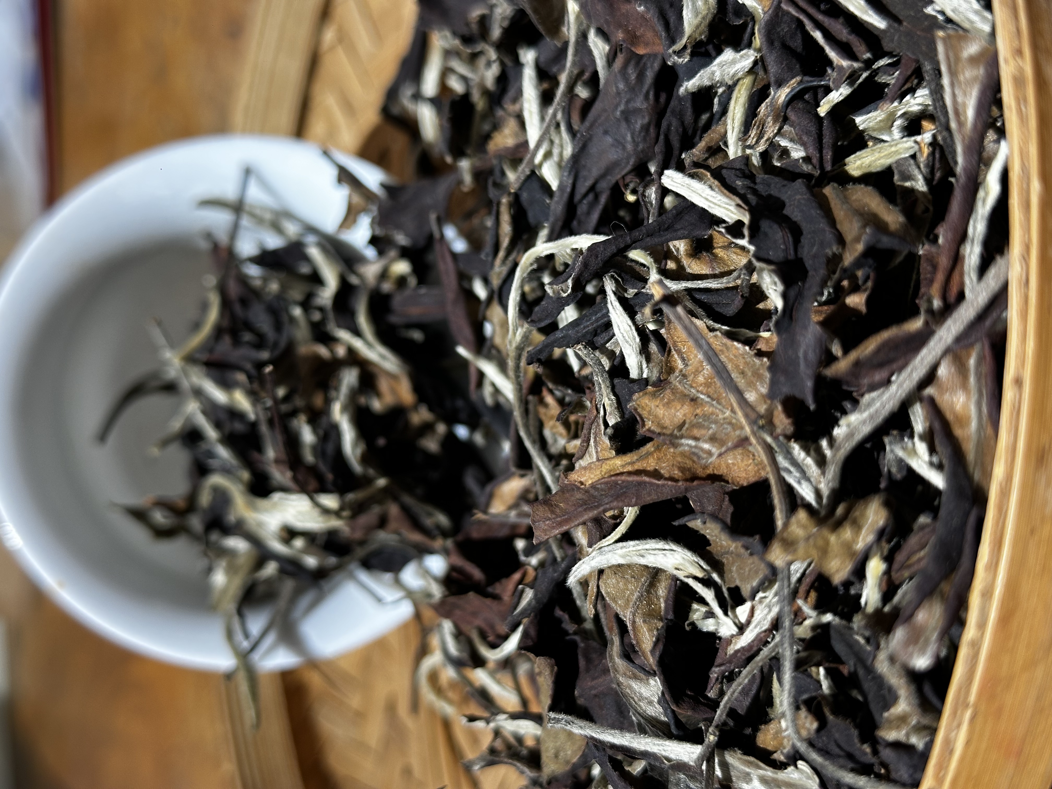 【白茶】羊多多云南普洱白茶